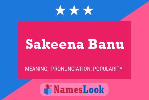 Poster del nome Sakeena Banu