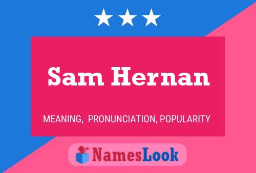 Poster del nome Sam Hernan