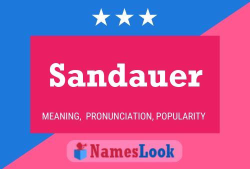 Poster del nome Sandauer