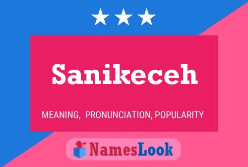 Poster del nome Sanikeceh