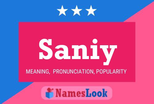 Poster del nome Saniy