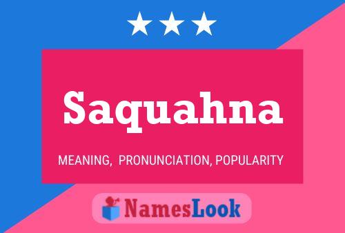 Poster del nome Saquahna