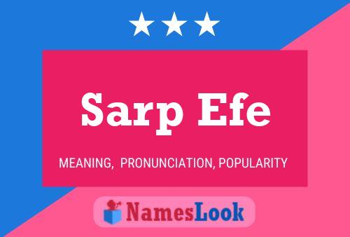 Poster del nome Sarp Efe