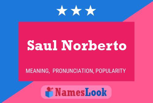 Poster del nome Saul Norberto