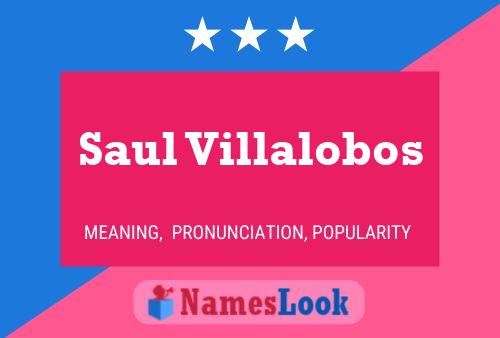 Poster del nome Saul Villalobos