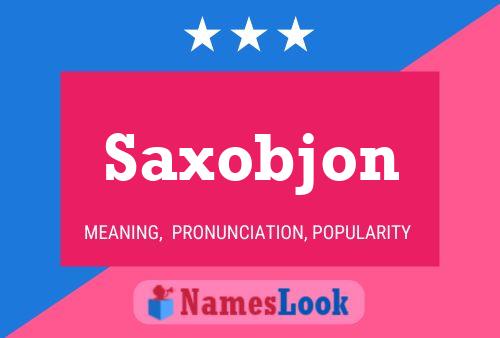 Poster del nome Saxobjon