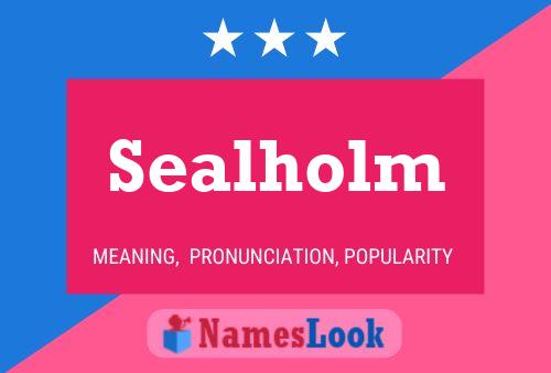 Poster del nome Sealholm