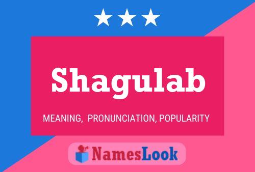 Poster del nome Shagulab