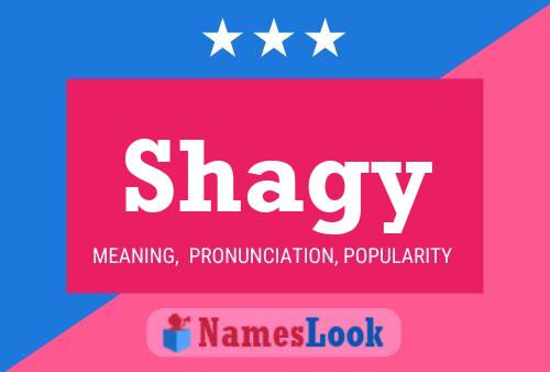 Poster del nome Shagy