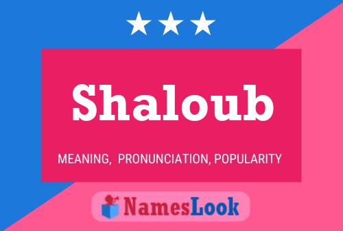 Poster del nome Shaloub