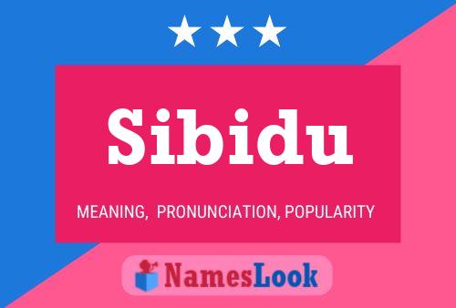 Poster del nome Sibidu