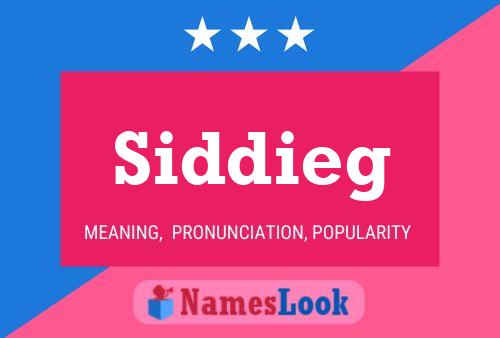 Poster del nome Siddieg