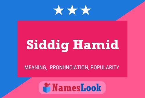 Poster del nome Siddig Hamid