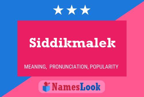 Poster del nome Siddikmalek