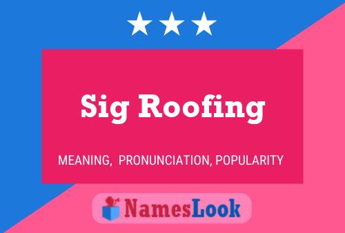 Poster del nome Sig Roofing