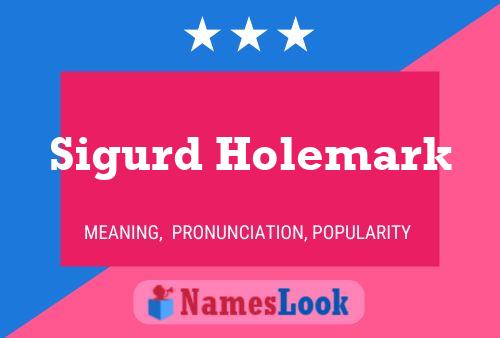 Poster del nome Sigurd Holemark