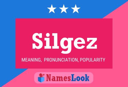 Poster del nome Silgez