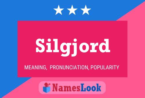 Poster del nome Silgjord