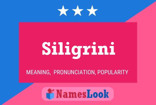 Poster del nome Siligrini