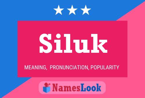 Poster del nome Siluk