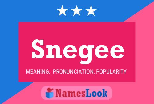 Poster del nome Snegee