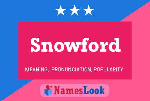 Poster del nome Snowford