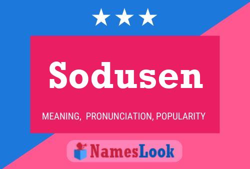 Poster del nome Sodusen