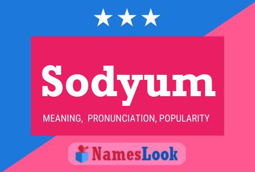 Poster del nome Sodyum