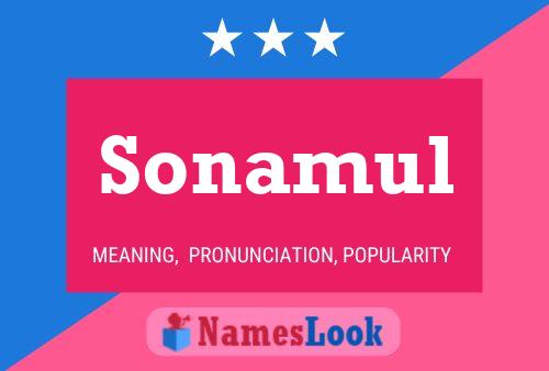 Poster del nome Sonamul