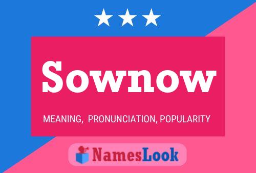 Poster del nome Sownow