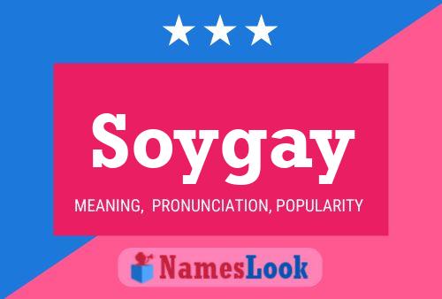 Poster del nome Soygay