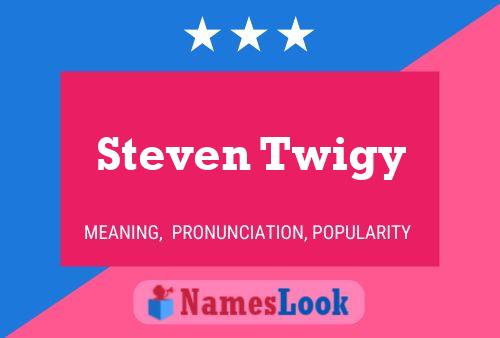 Poster del nome Steven Twigy