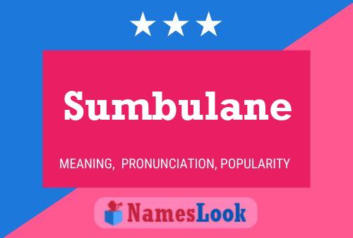 Poster del nome Sumbulane