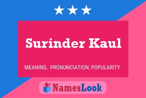 Poster del nome Surinder Kaul