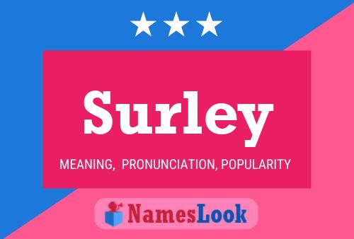 Poster del nome Surley