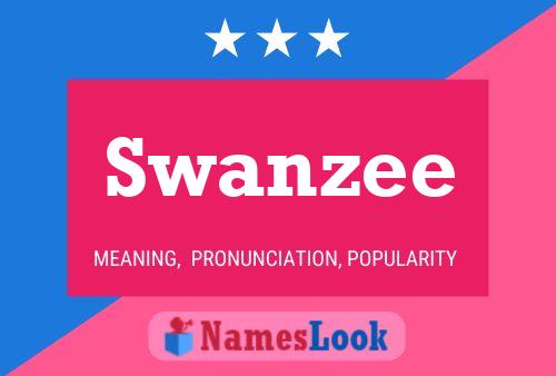 Poster del nome Swanzee