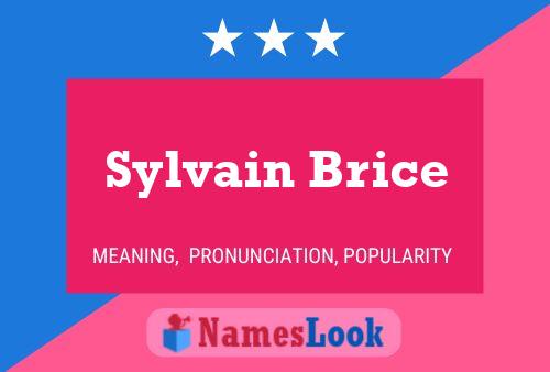 Poster del nome Sylvain Brice