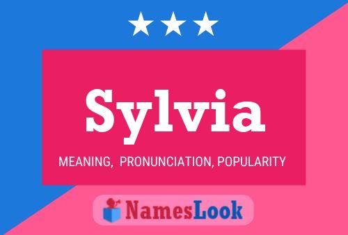 Poster del nome Sylvia