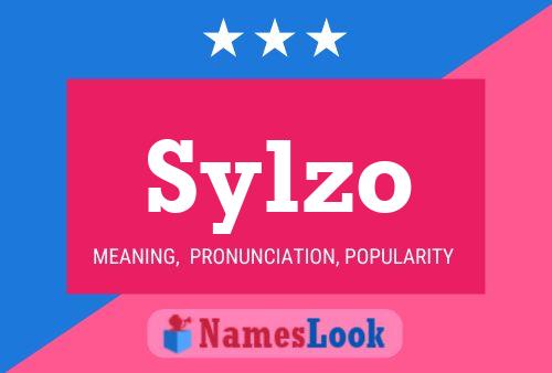 Poster del nome Sylzo