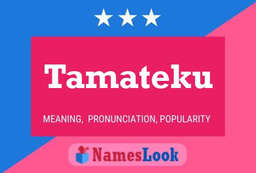 Poster del nome Tamateku