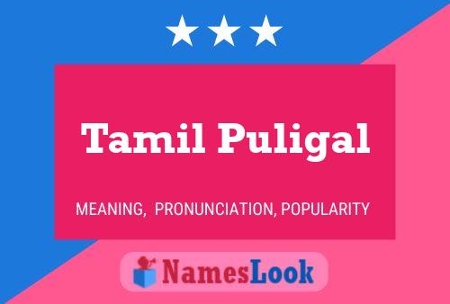 Poster del nome Tamil Puligal