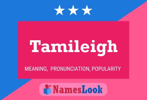 Poster del nome Tamileigh