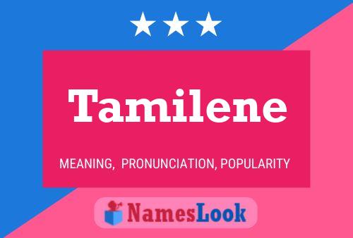 Poster del nome Tamilene