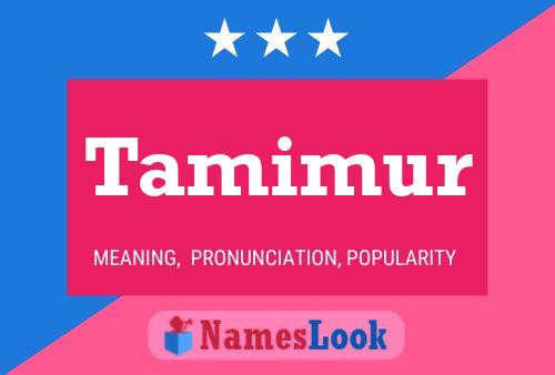 Poster del nome Tamimur