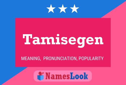 Poster del nome Tamisegen