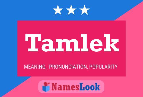 Poster del nome Tamlek