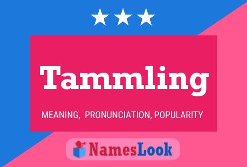 Poster del nome Tammling