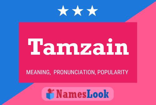 Poster del nome Tamzain