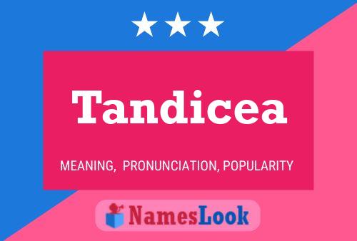 Poster del nome Tandicea