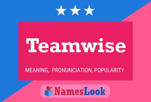 Poster del nome Teamwise